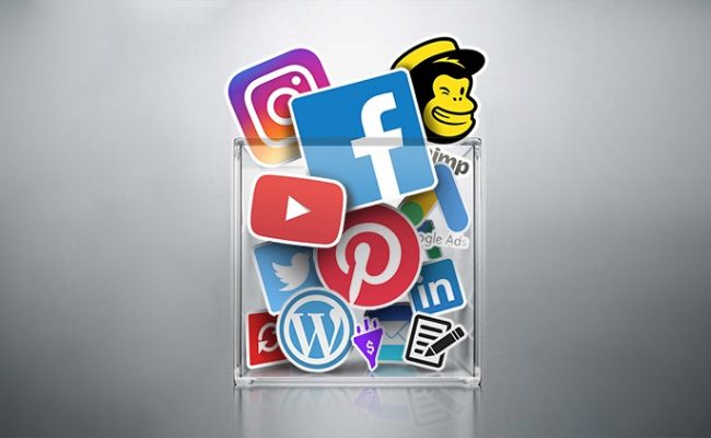 VIP Digital Marketing Master Course : 31 Courses in 1