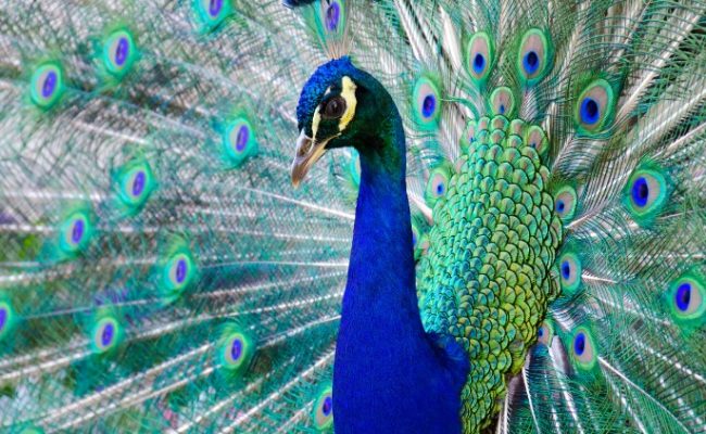 Learn Coding by Example with C#