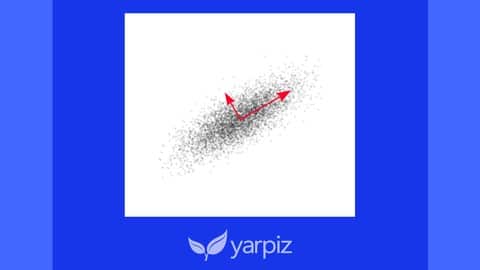 Principal Component Analysis in Python and MATLAB