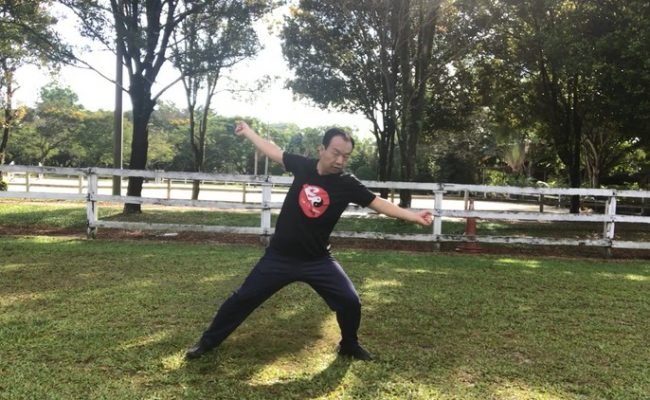 Aerobic Tai Chi Workout – Original Chen Style Old Form Two
