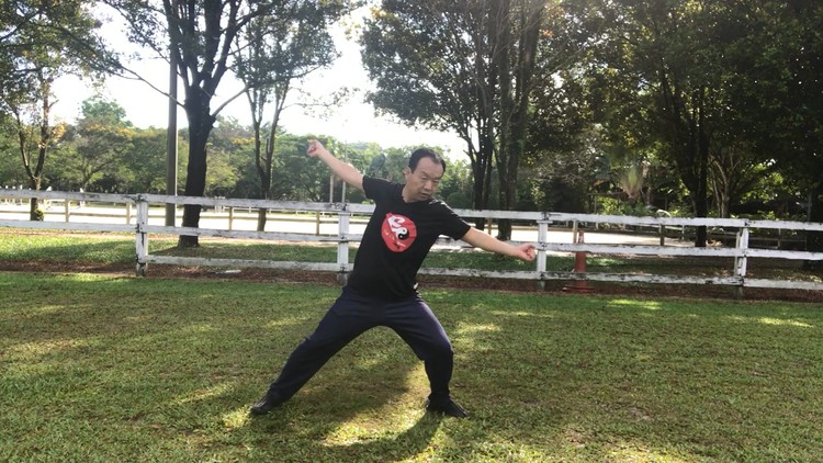 Aerobic Tai Chi Workout – Original Chen Style Old Form Two