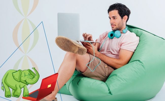 New IELTS Elephant Course: Full IELTS Preparation in 6 hours