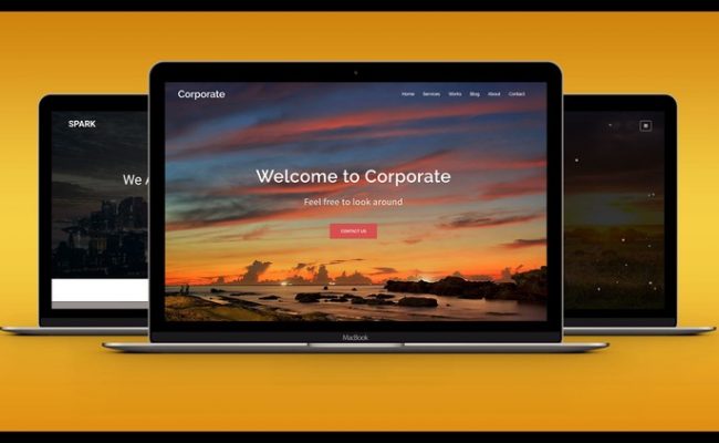 The Most Comprehensive Web Development Course