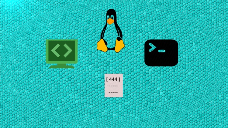 Learn bash scripting by a real project