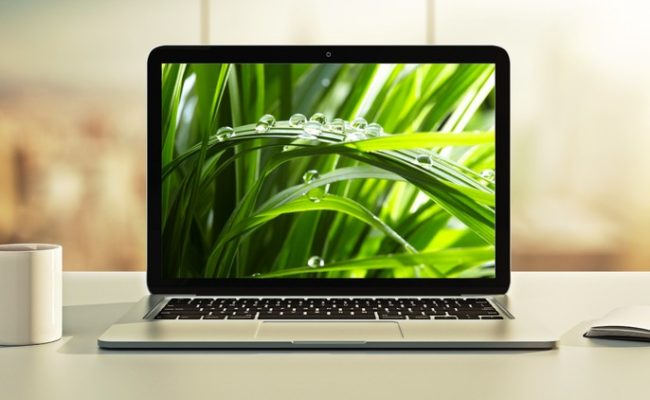 Spring & Hibernate for Beginners (includes Spring Boot)
