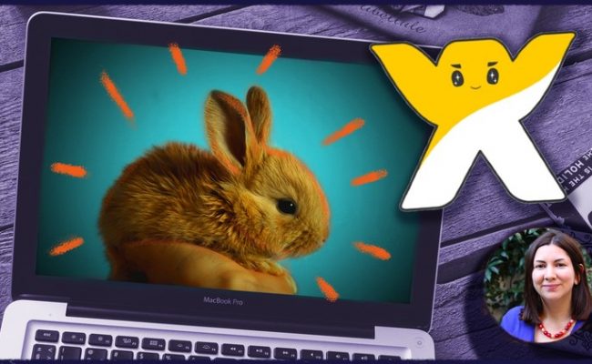 Wix: Make a Quick and Easy Professional Website for Free