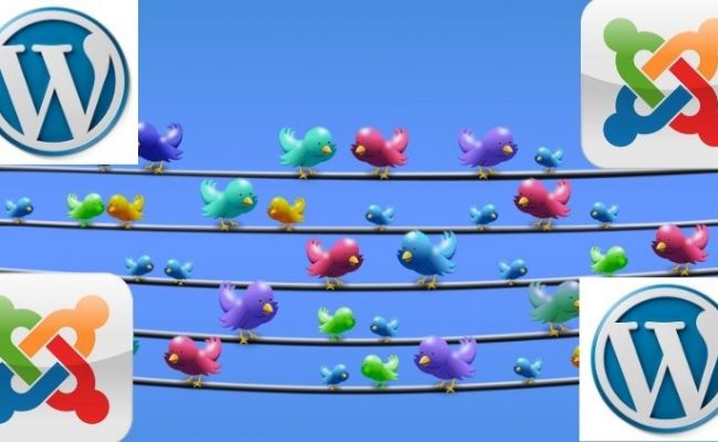 Creating a complete social website with Wordpress and Joomla